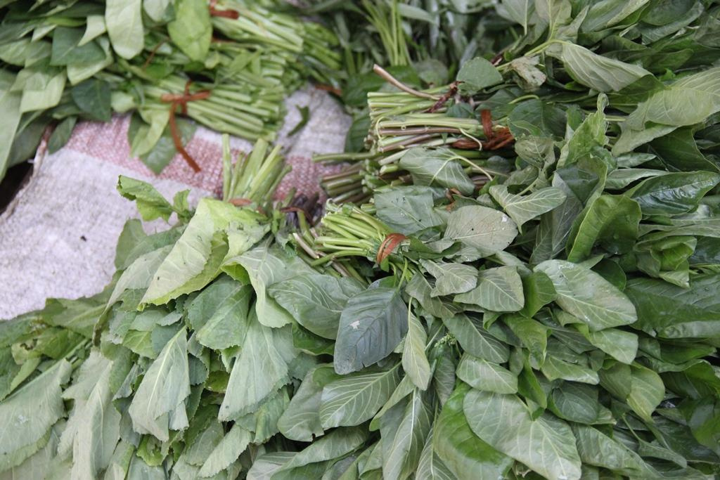 Tanzania. Andrey Filippov Photographer