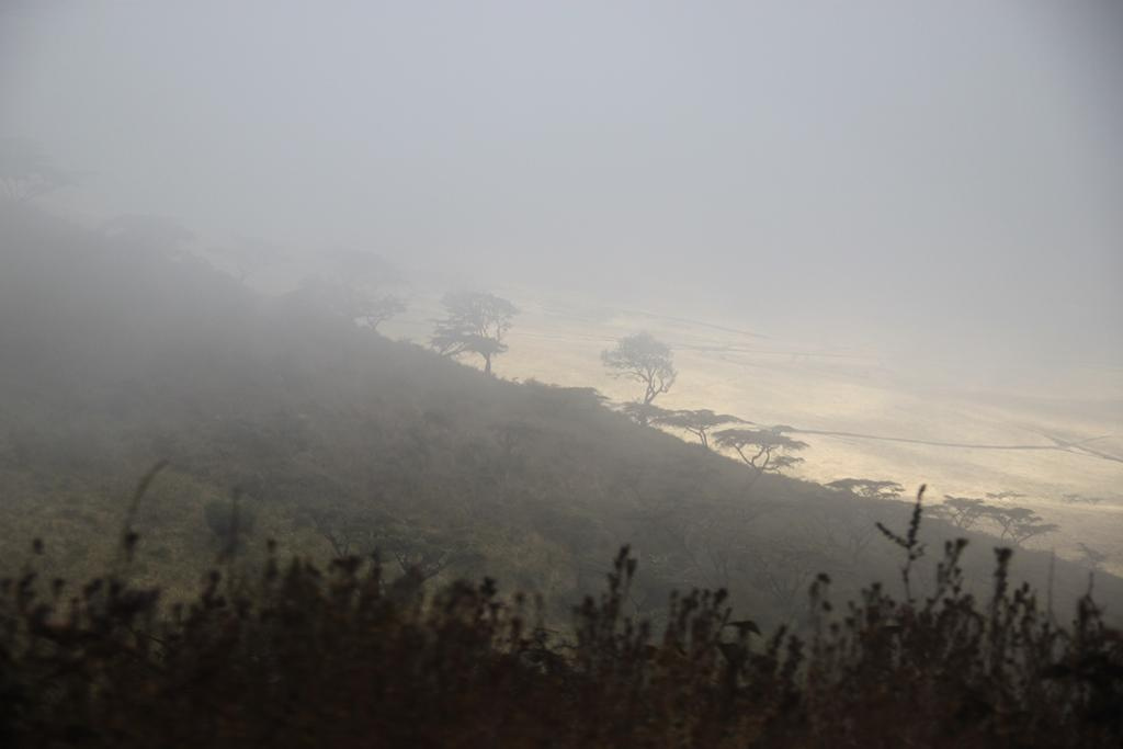 Ngorongoro Conservation Area. Andrey Filippov Photographer