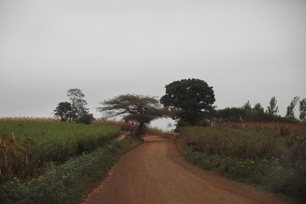 Tanzania. Andrey Filippov Photographer