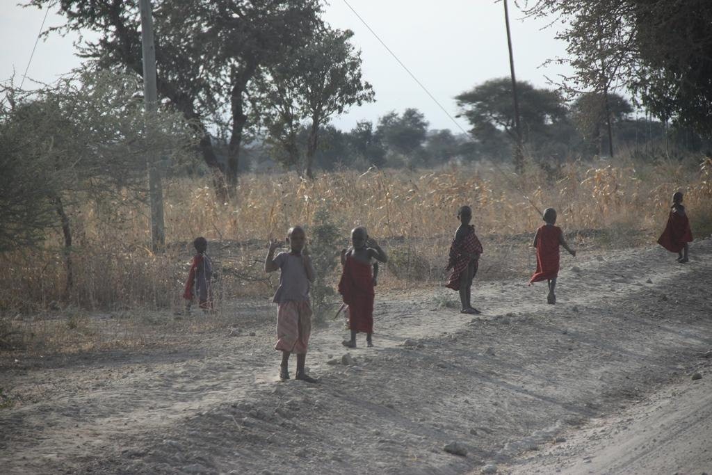 Tanzania. Andrey Filippov Photographer