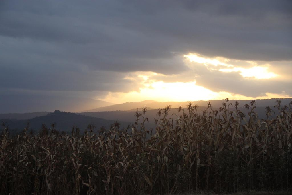 Tanzania. Andrey Filippov Photographer