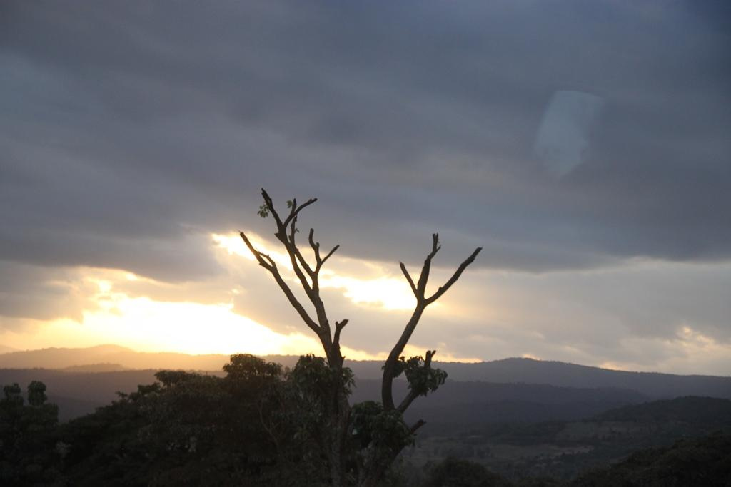 Tanzania. Andrey Filippov Photographer