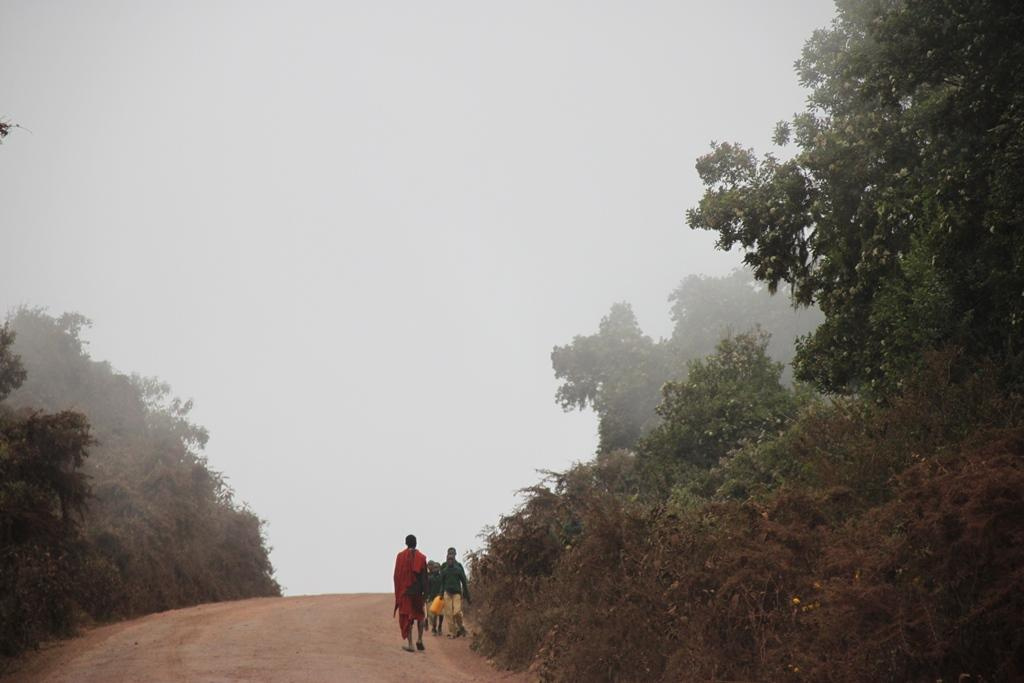 Ngorongoro Conservation Area. Andrey Filippov Photographer