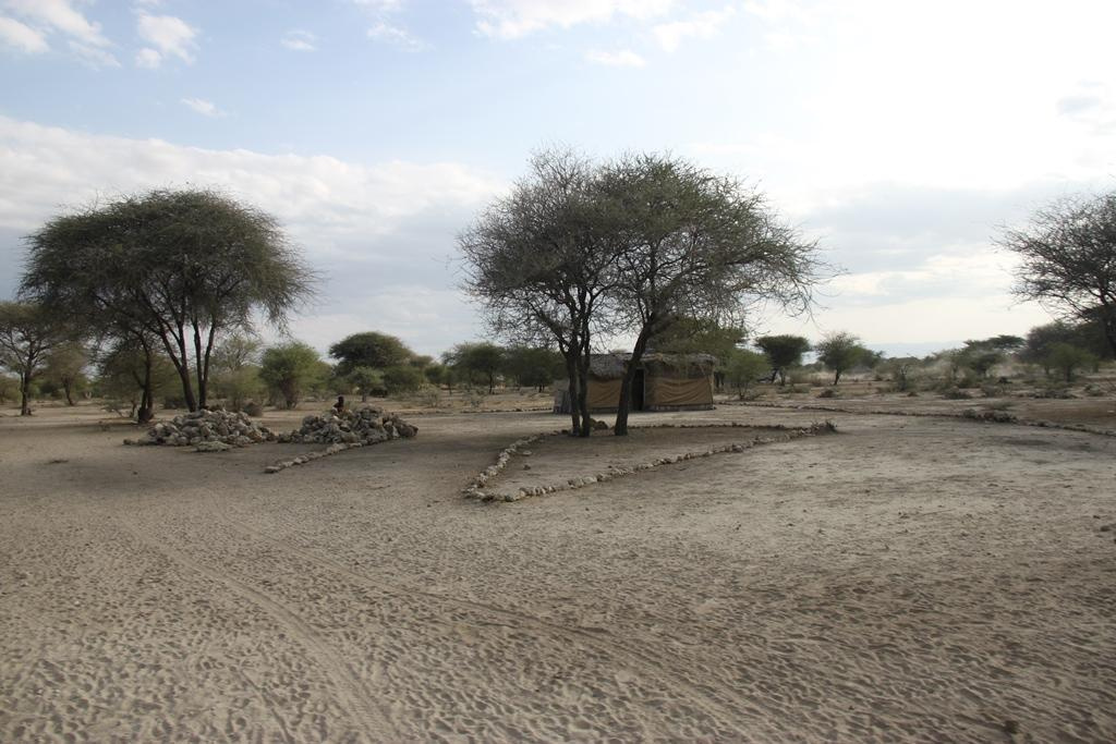 Tanzania. Andrey Filippov Photographer