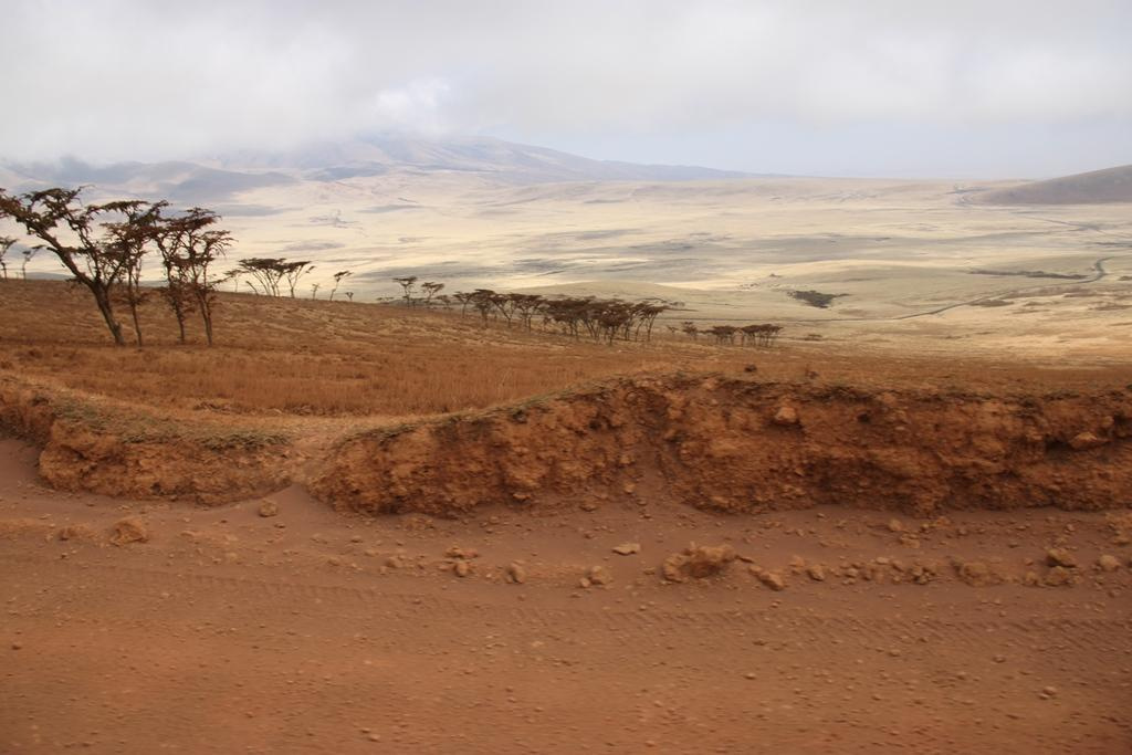 Ngorongoro Conservation Area. Andrey Filippov Photographer