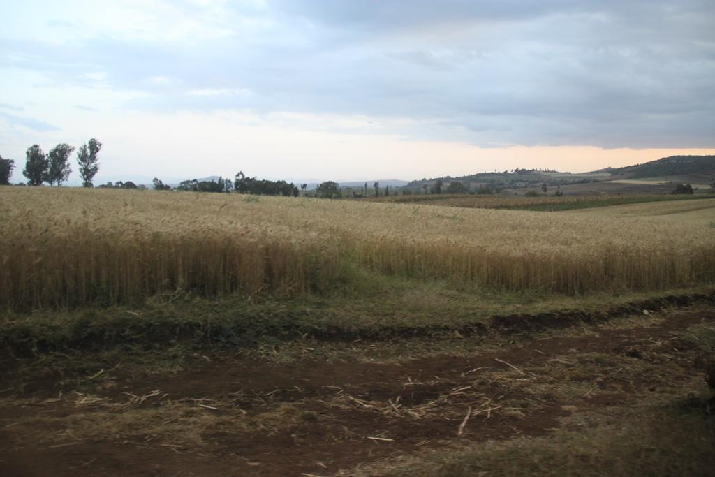 Tanzania. Andrey Filippov Photographer