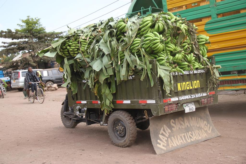Tanzania. Andrey Filippov Photographer