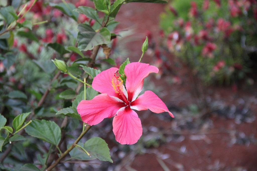 Tanzania. Andrey Filippov Photographer