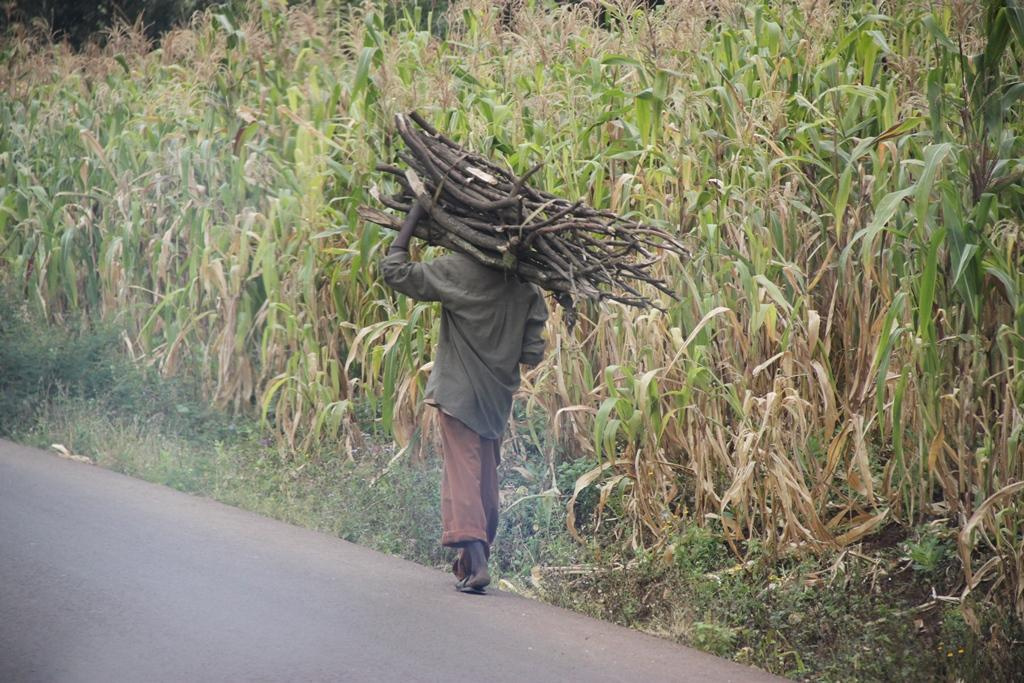 Tanzania. Andrey Filippov Photographer