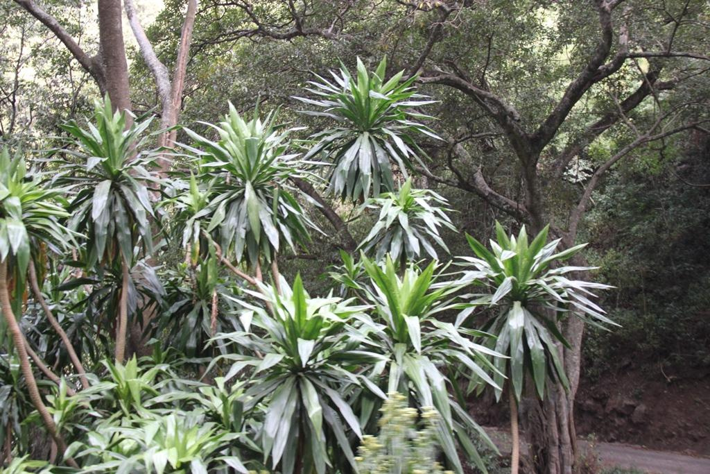 Ngorongoro Conservation Area. Andrey Filippov Photographer