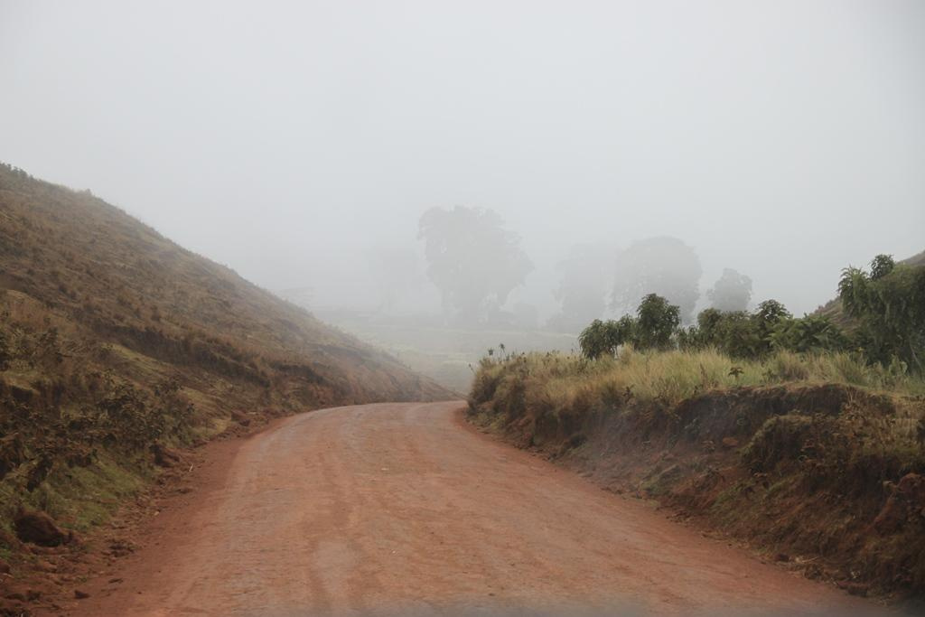 Ngorongoro Conservation Area. Andrey Filippov Photographer