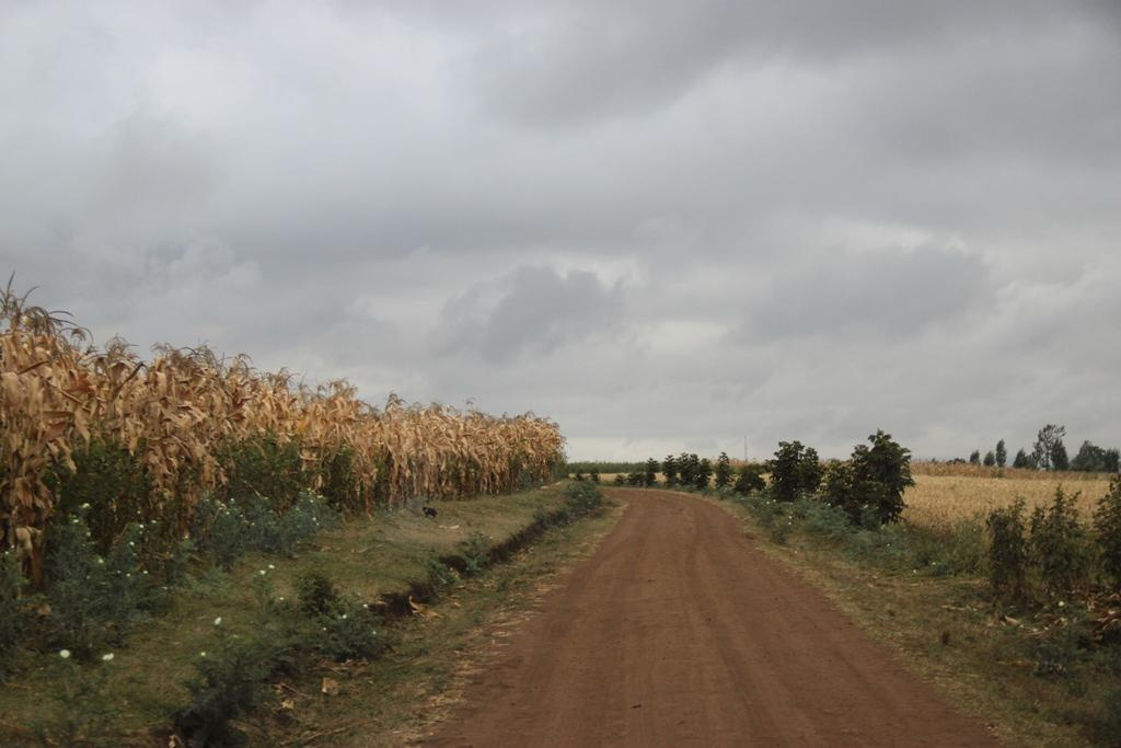 Tanzania. Andrey Filippov Photographer