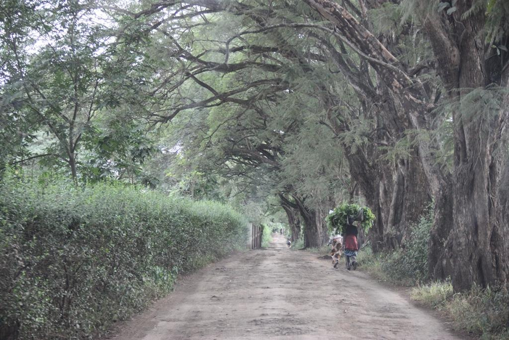 Tanzania. Andrey Filippov Photographer