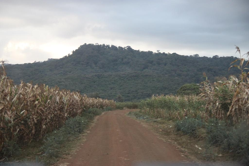 Tanzania. Andrey Filippov Photographer