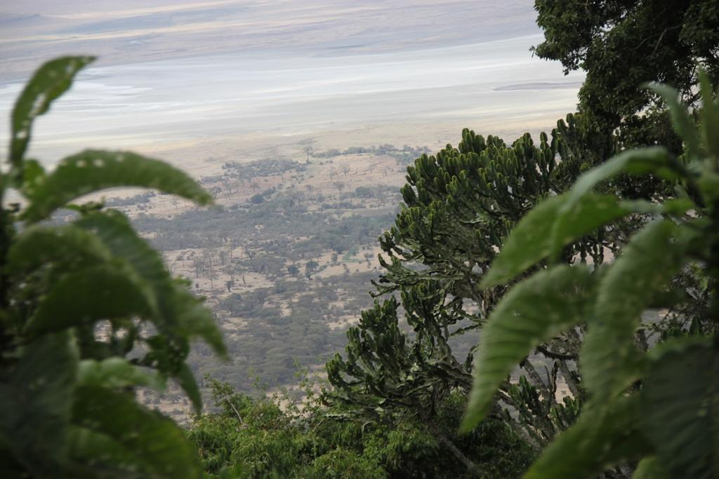 Ngorongoro Conservation Area. Andrey Filippov Photographer