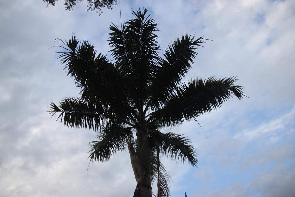 Tanzania. Andrey Filippov Photographer