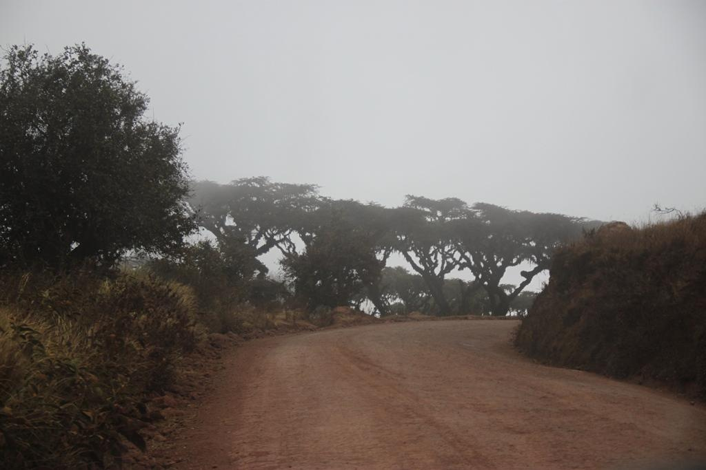Ngorongoro Conservation Area. Andrey Filippov Photographer