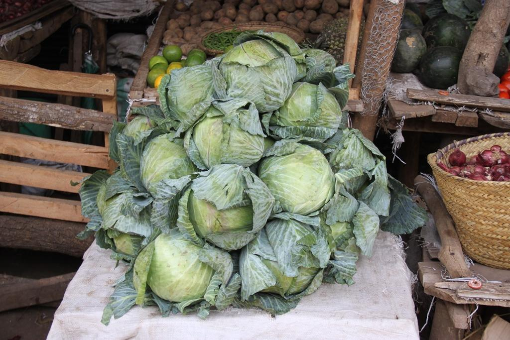 Tanzania. Andrey Filippov Photographer