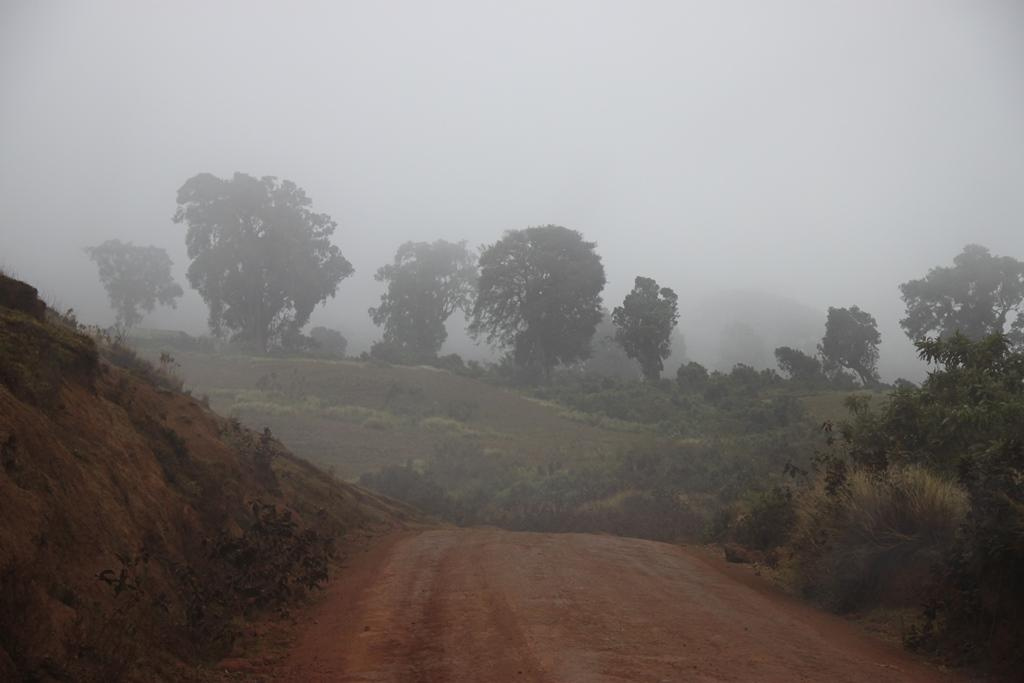 Ngorongoro Conservation Area. Andrey Filippov Photographer