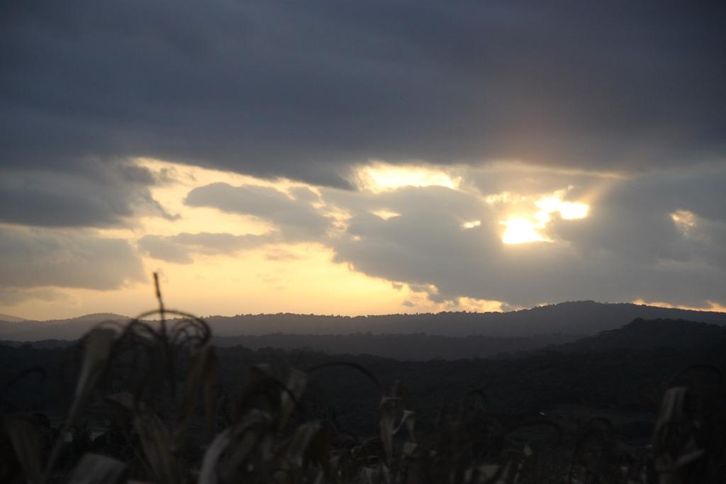 Tanzania. Andrey Filippov Photographer