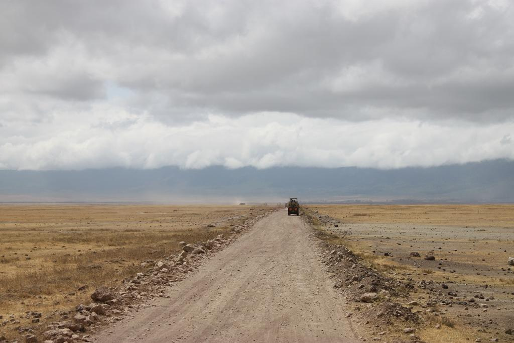 Ngorongoro Conservation Area. Andrey Filippov Photographer