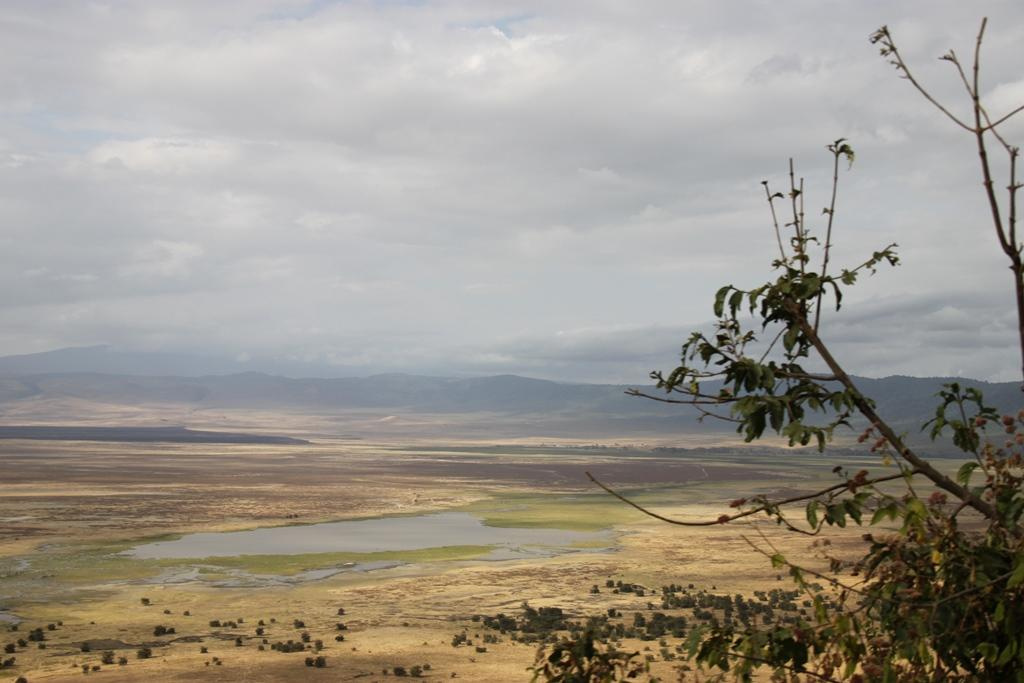 Ngorongoro Conservation Area. Andrey Filippov Photographer