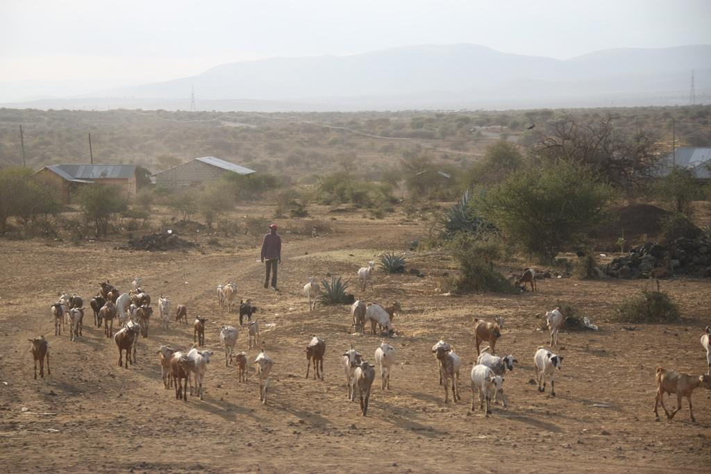 Tanzania. Andrey Filippov Photographer