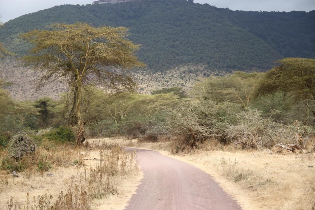 Ngorongoro Conservation Area. Andrey Filippov Photographer