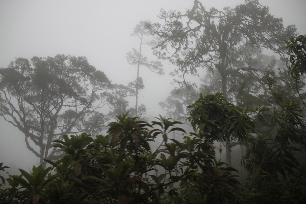 Ngorongoro Conservation Area. Andrey Filippov Photographer