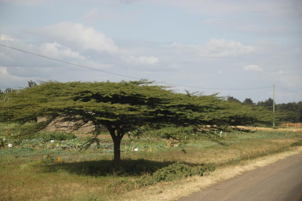 Tanzania. Andrey Filippov Photographer