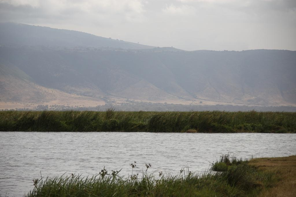 Ngorongoro Conservation Area. Andrey Filippov Photographer
