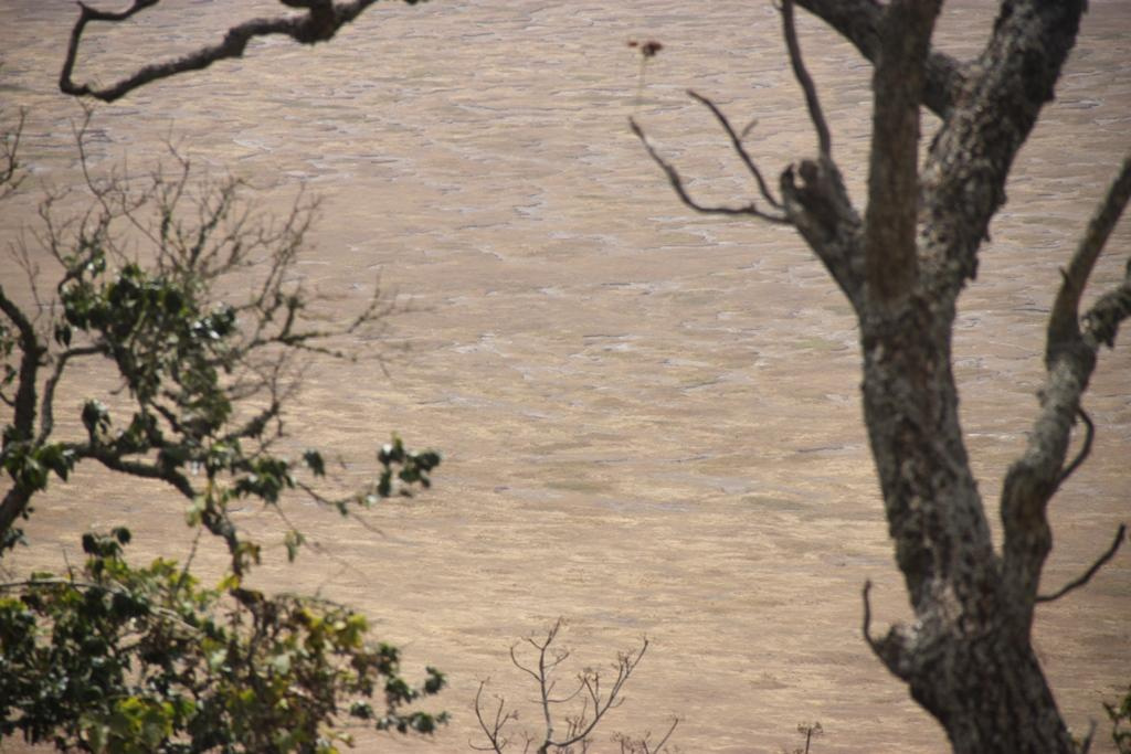 Ngorongoro Conservation Area. Andrey Filippov Photographer