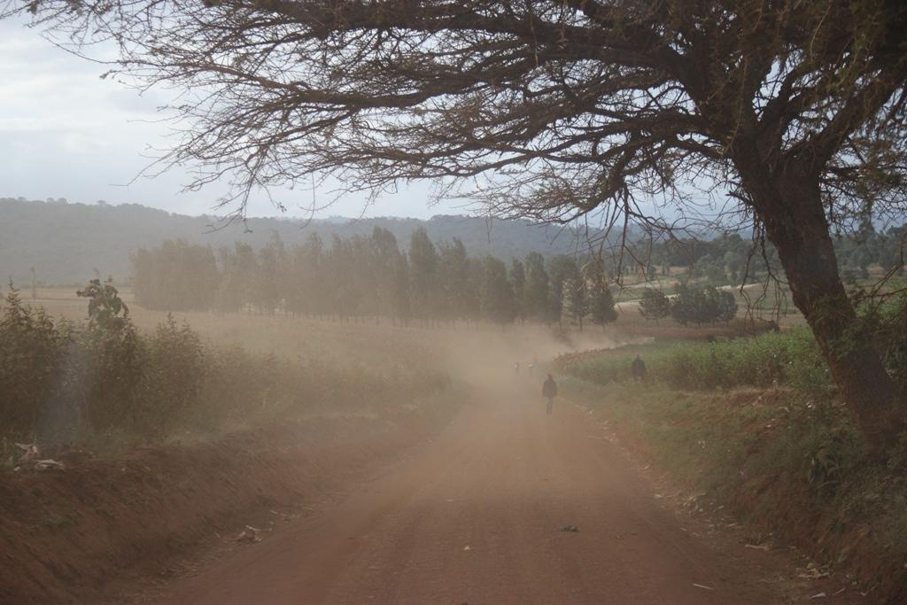 Tanzania. Andrey Filippov Photographer