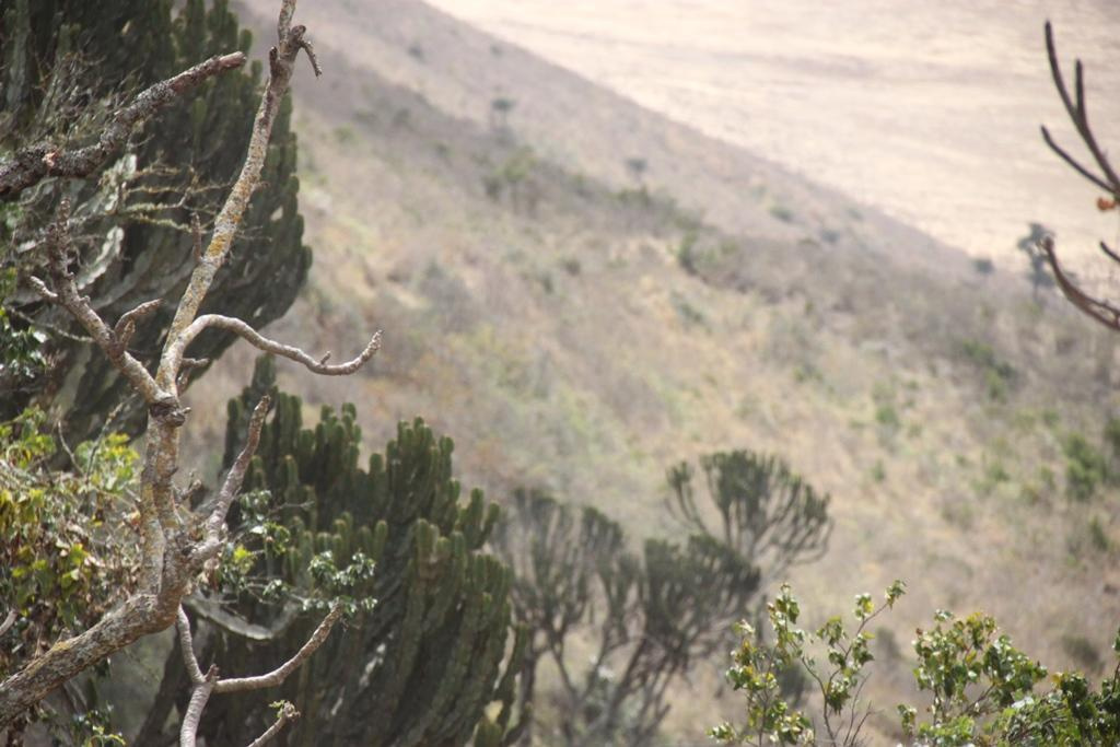 Ngorongoro Conservation Area. Andrey Filippov Photographer