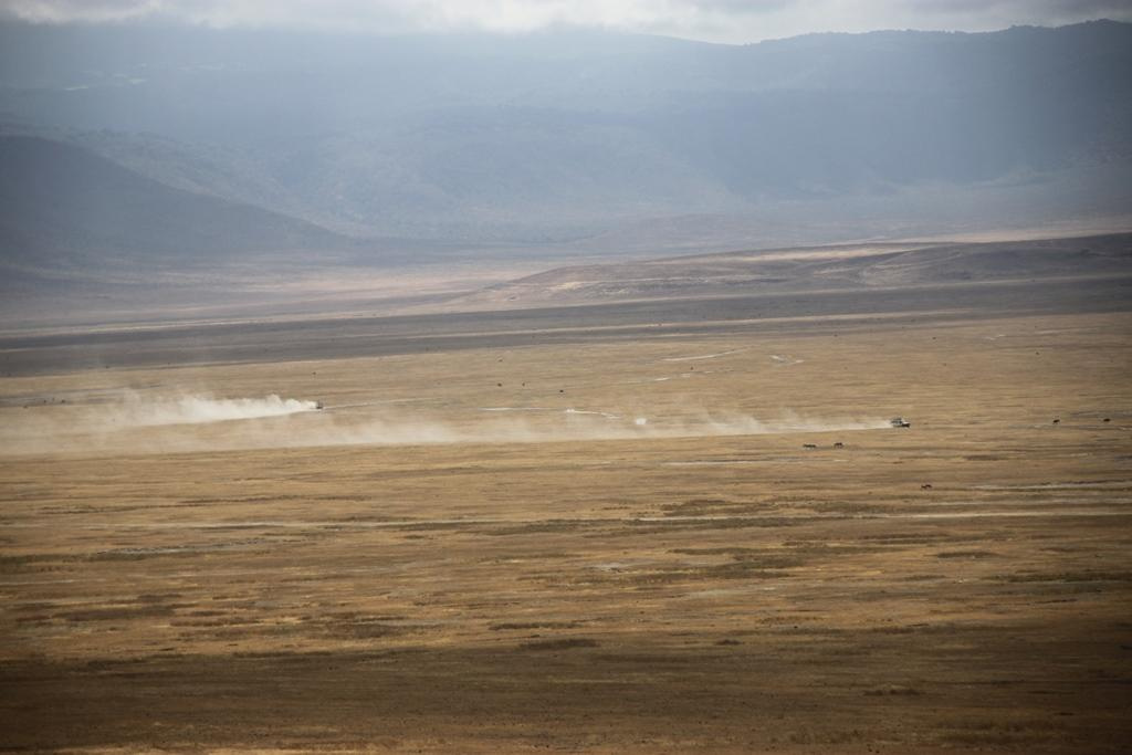 Ngorongoro Conservation Area. Andrey Filippov Photographer