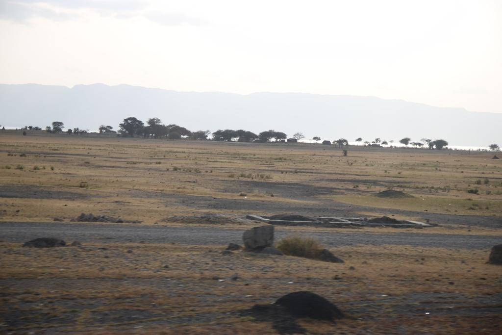 Tanzania. Andrey Filippov Photographer