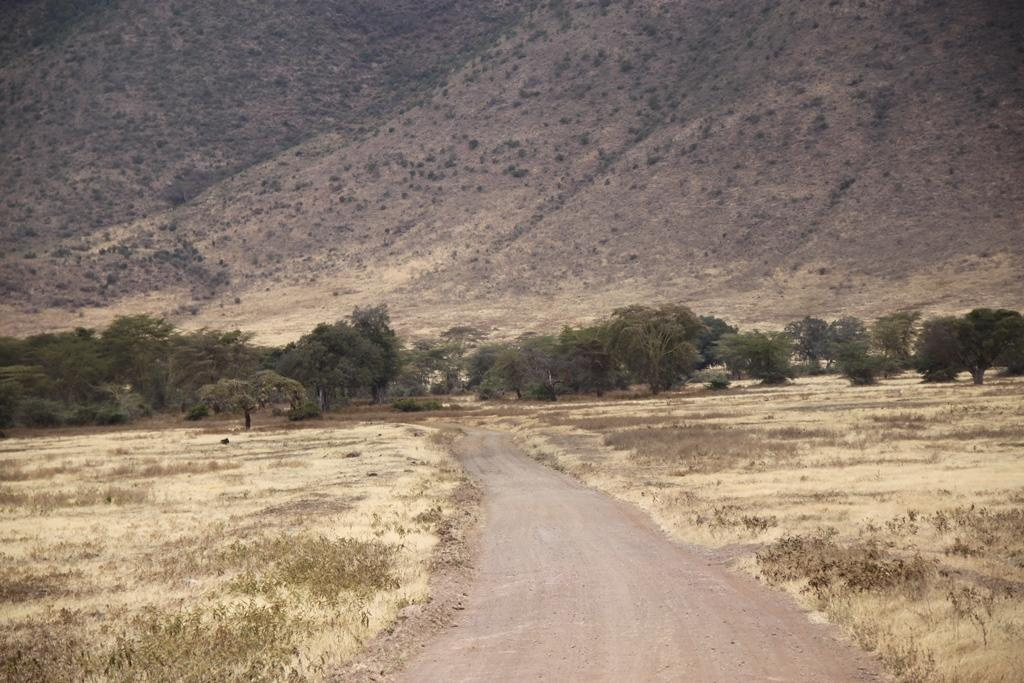 Ngorongoro Conservation Area. Andrey Filippov Photographer