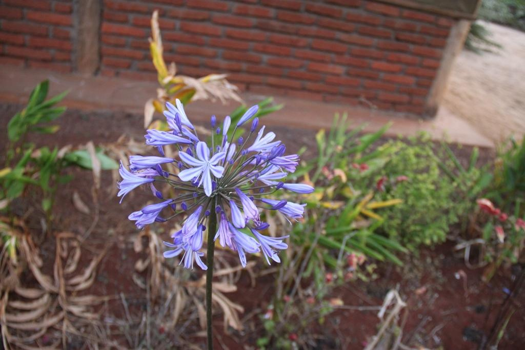 Tanzania. Andrey Filippov Photographer