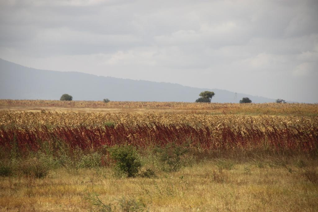 Tanzania. Andrey Filippov Photographer