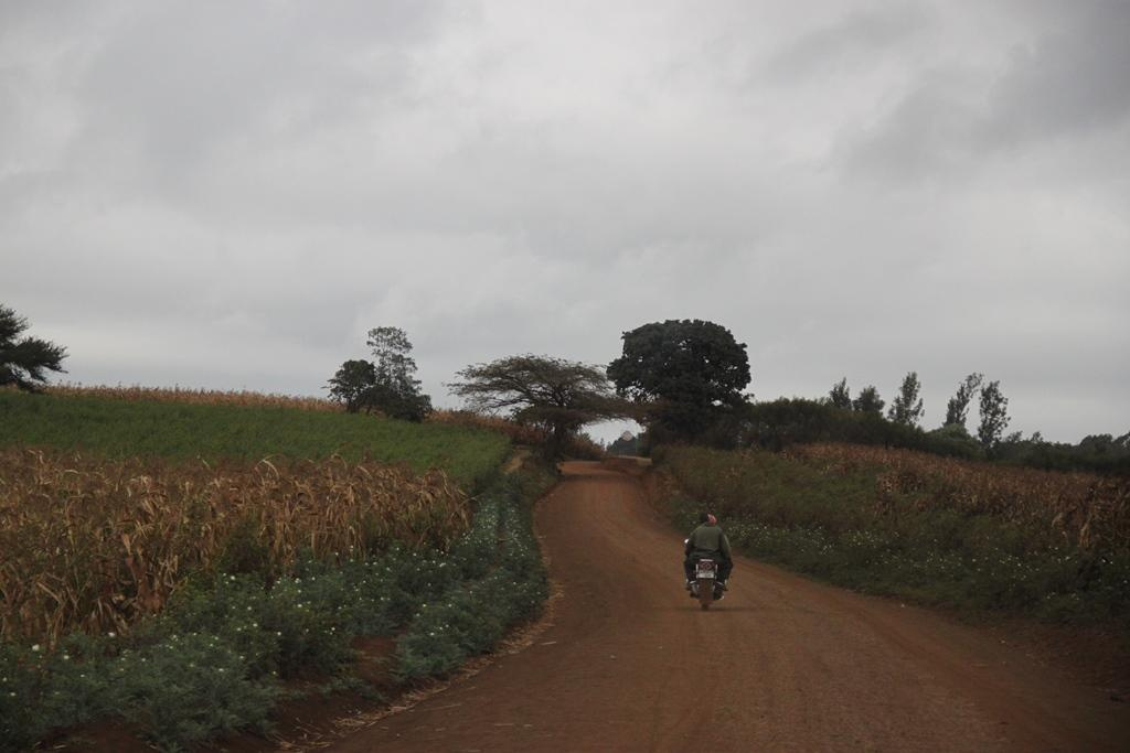 Tanzania. Andrey Filippov Photographer