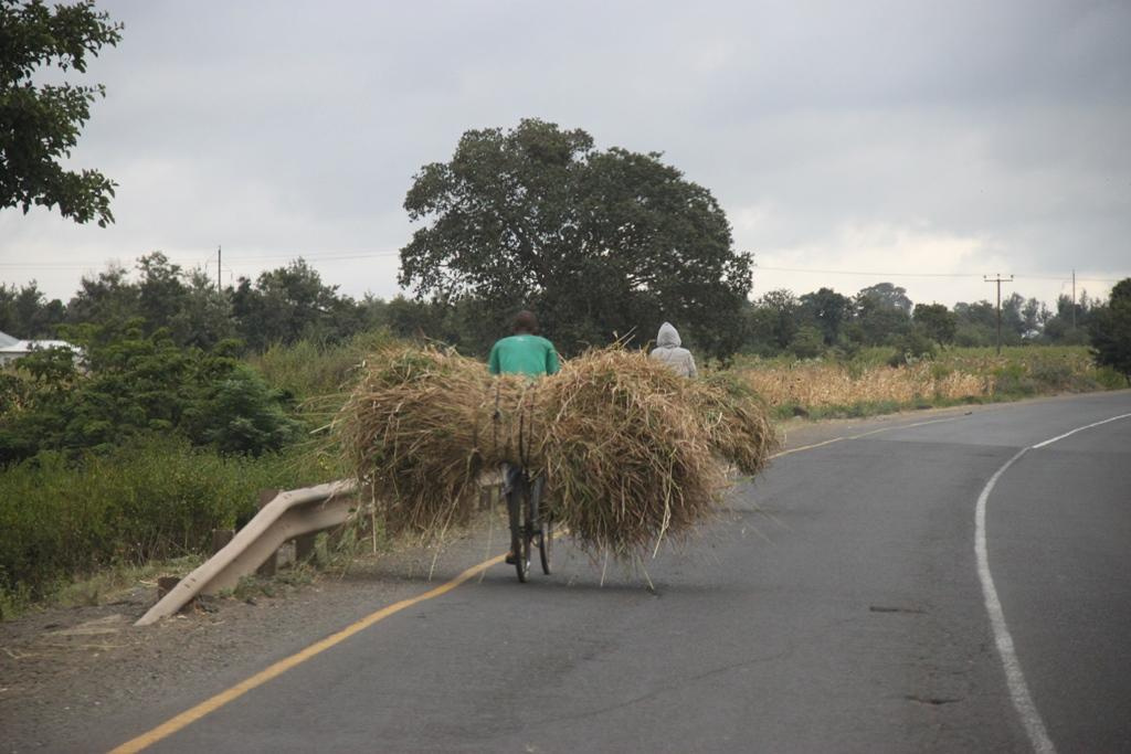 Tanzania. Andrey Filippov Photographer