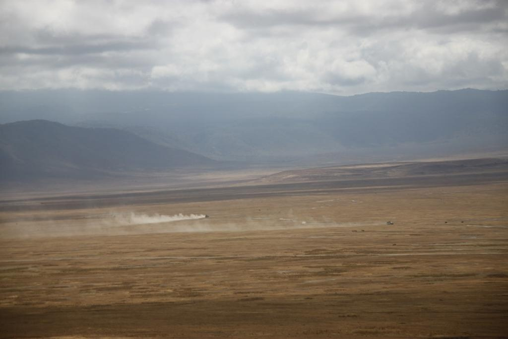 Ngorongoro Conservation Area. Andrey Filippov Photographer
