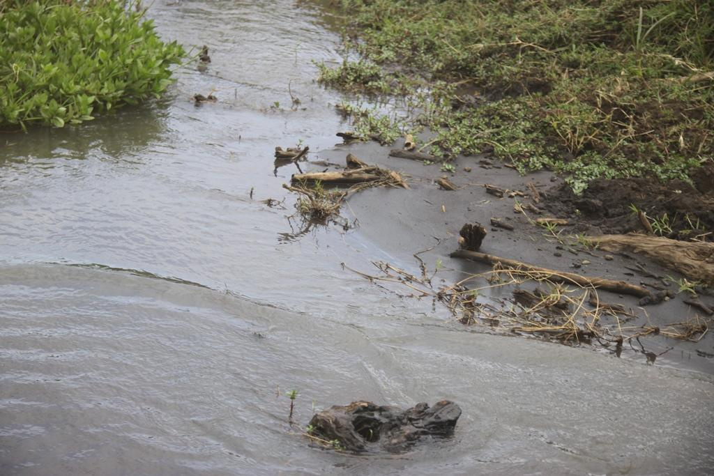 Ngorongoro Conservation Area. Andrey Filippov Photographer