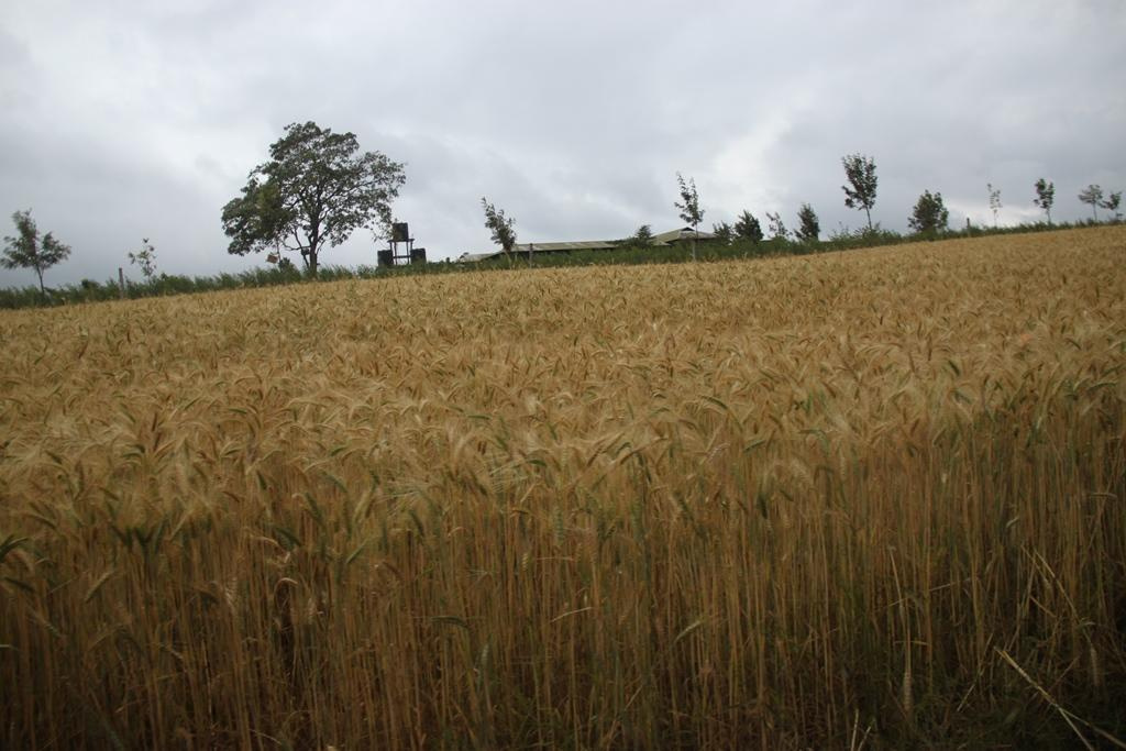 Tanzania. Andrey Filippov Photographer