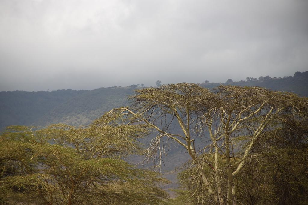 Ngorongoro Conservation Area. Andrey Filippov Photographer