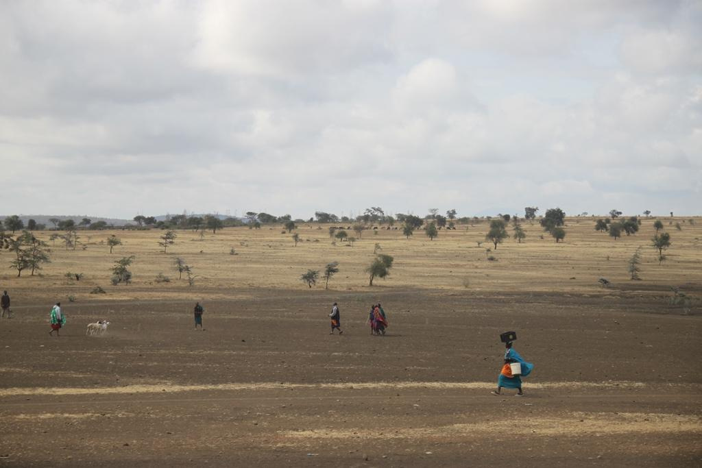 Tanzania. Andrey Filippov Photographer