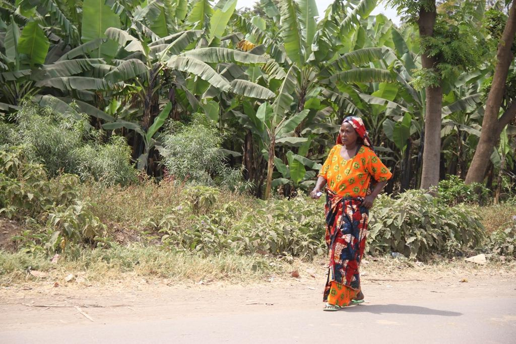 Tanzania. Andrey Filippov Photographer
