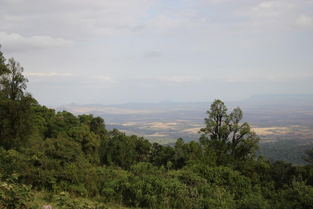 Ngorongoro Conservation Area. Andrey Filippov Photographer