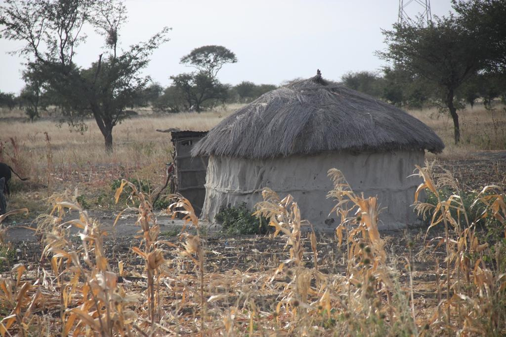 Tanzania. Andrey Filippov Photographer