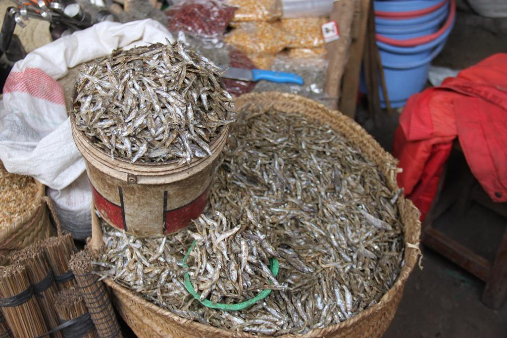 Tanzania. Andrey Filippov Photographer